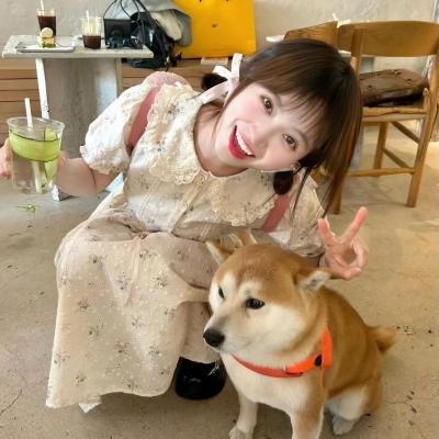 八月的英语海报